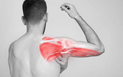 La récupération après une chirurgie de l'épaule : comment retrouver sa force musculaire ? | Dr Dr Salabi | Marseille